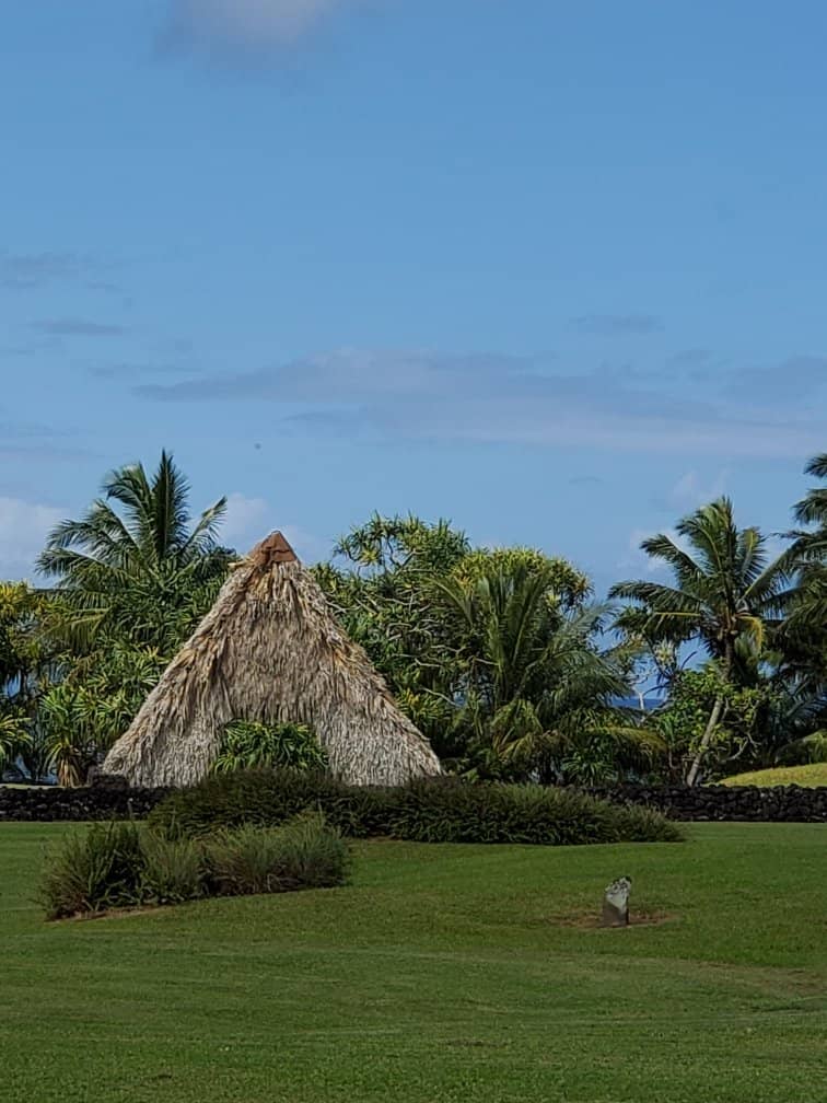 Native Hawaiian Flora