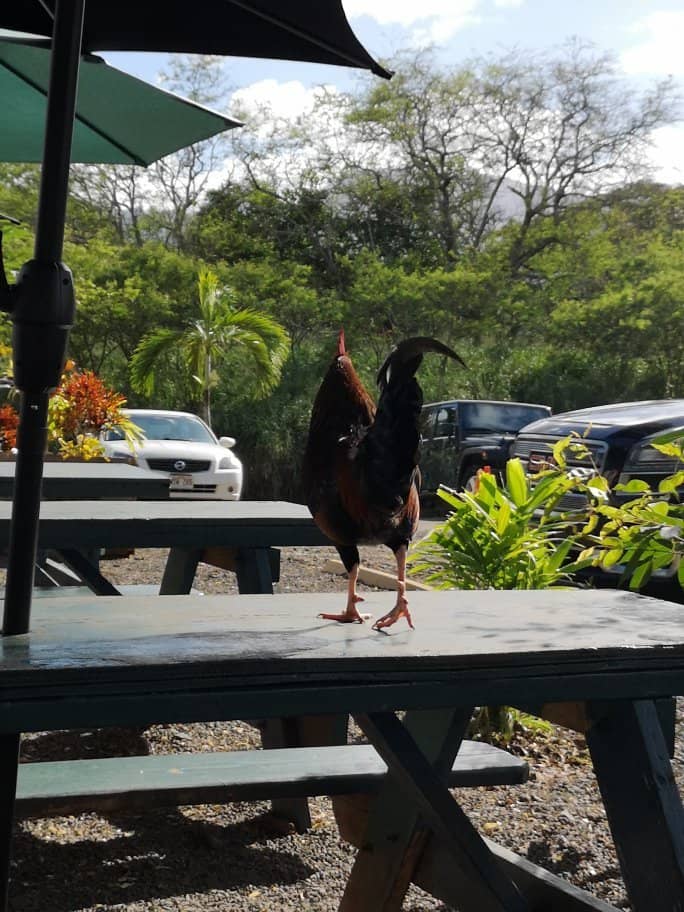 Sweet Thai Chili Shrimp