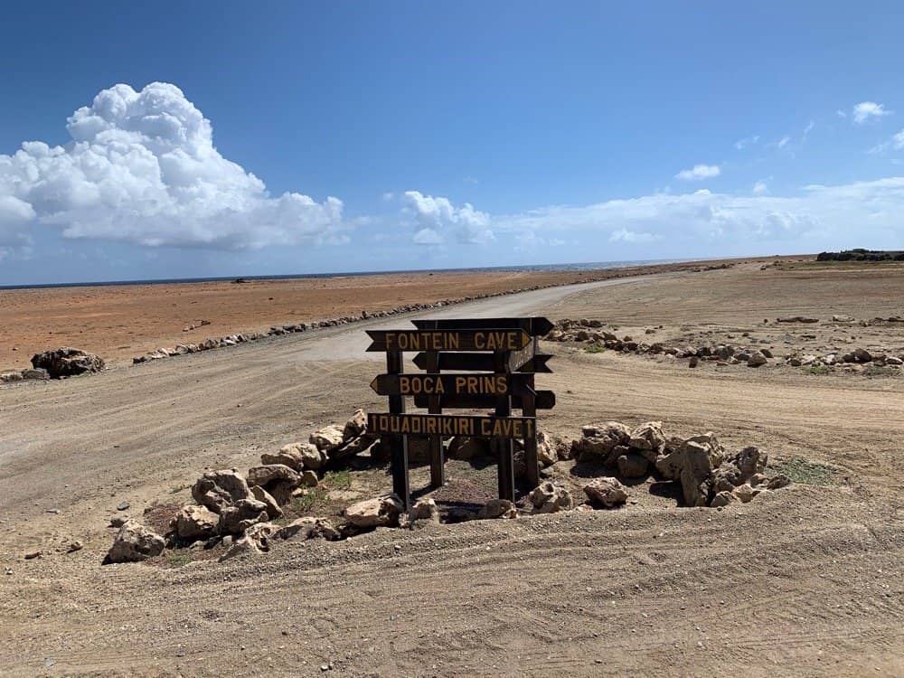 Powerful Ocean Waves