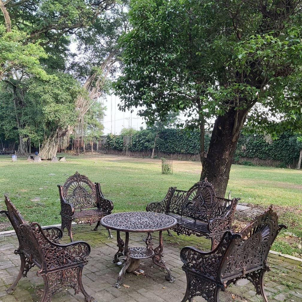 Tranquil Lake and Greenery