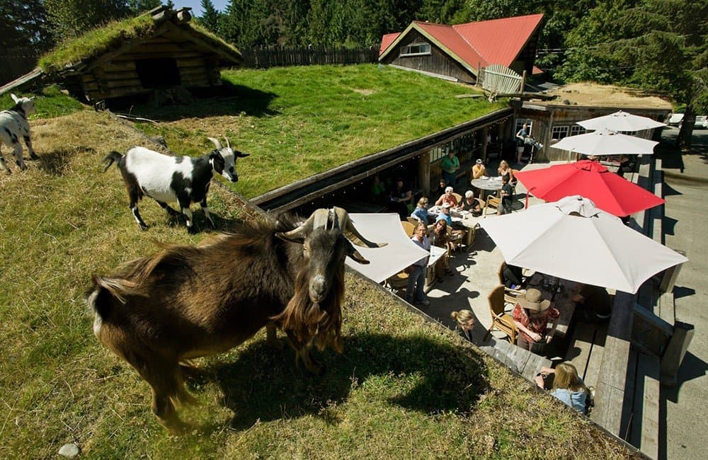 The Old Country Market in Coombs, British Columbia