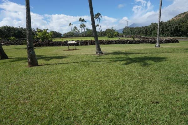 Wailua River Views