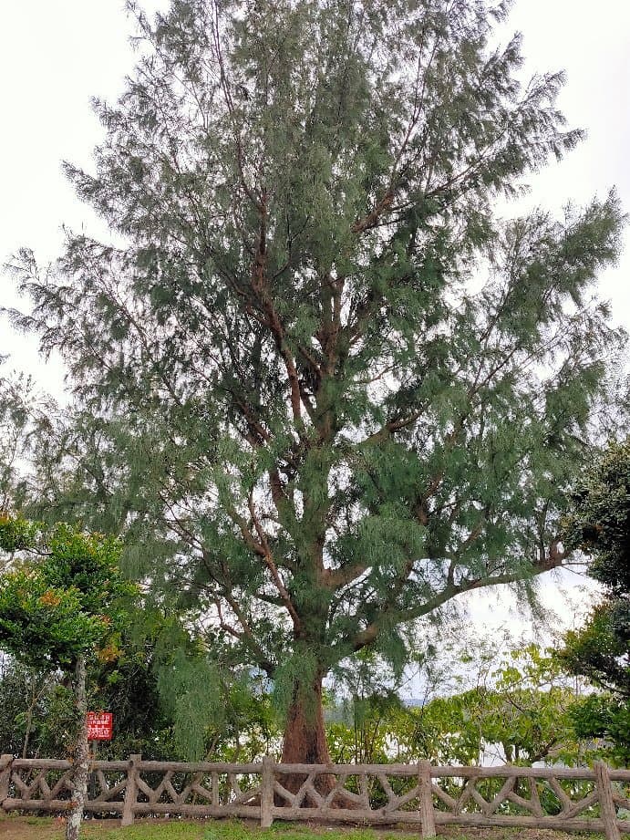 Nagura Amparu Wetland