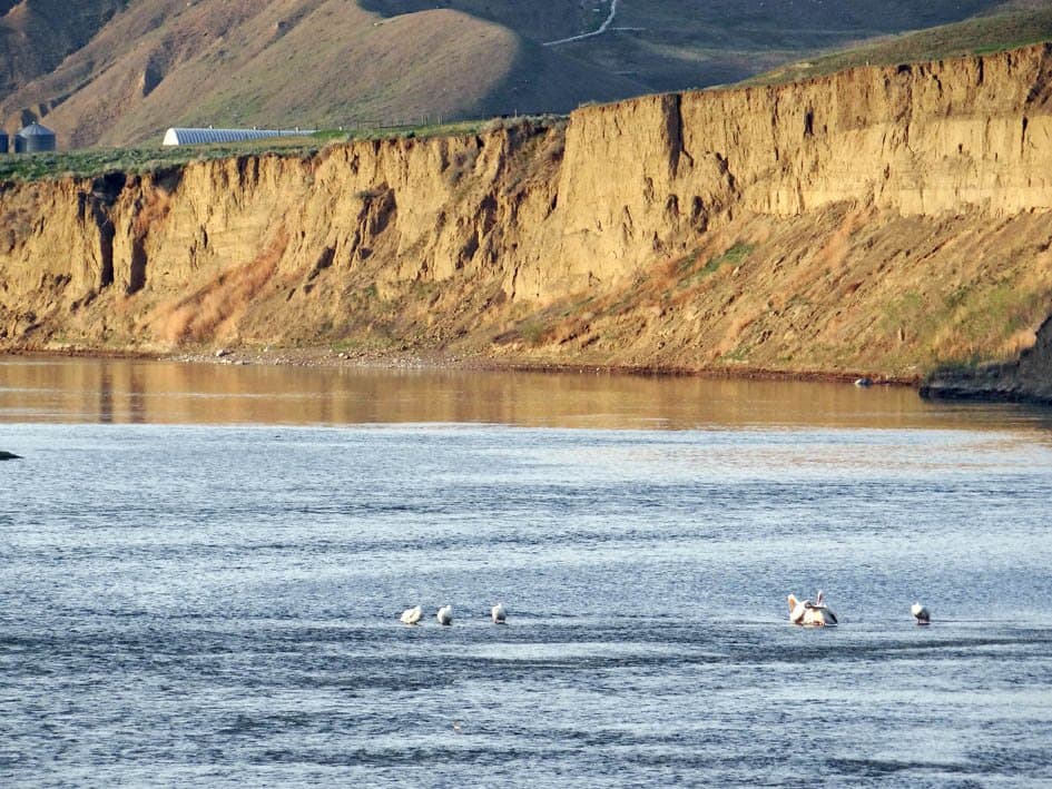 Strathcona Island Park