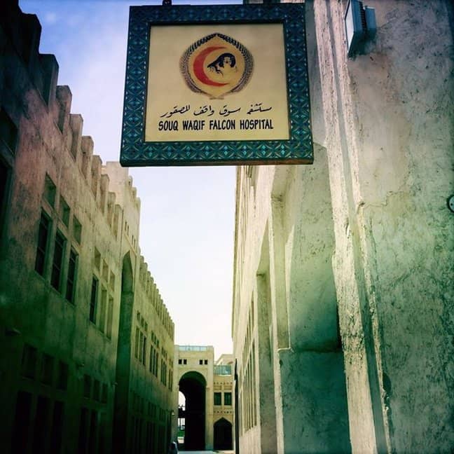 Vertical photo