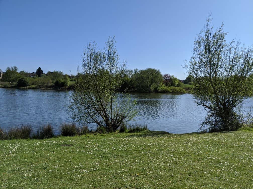 Tranquil Walking Paths