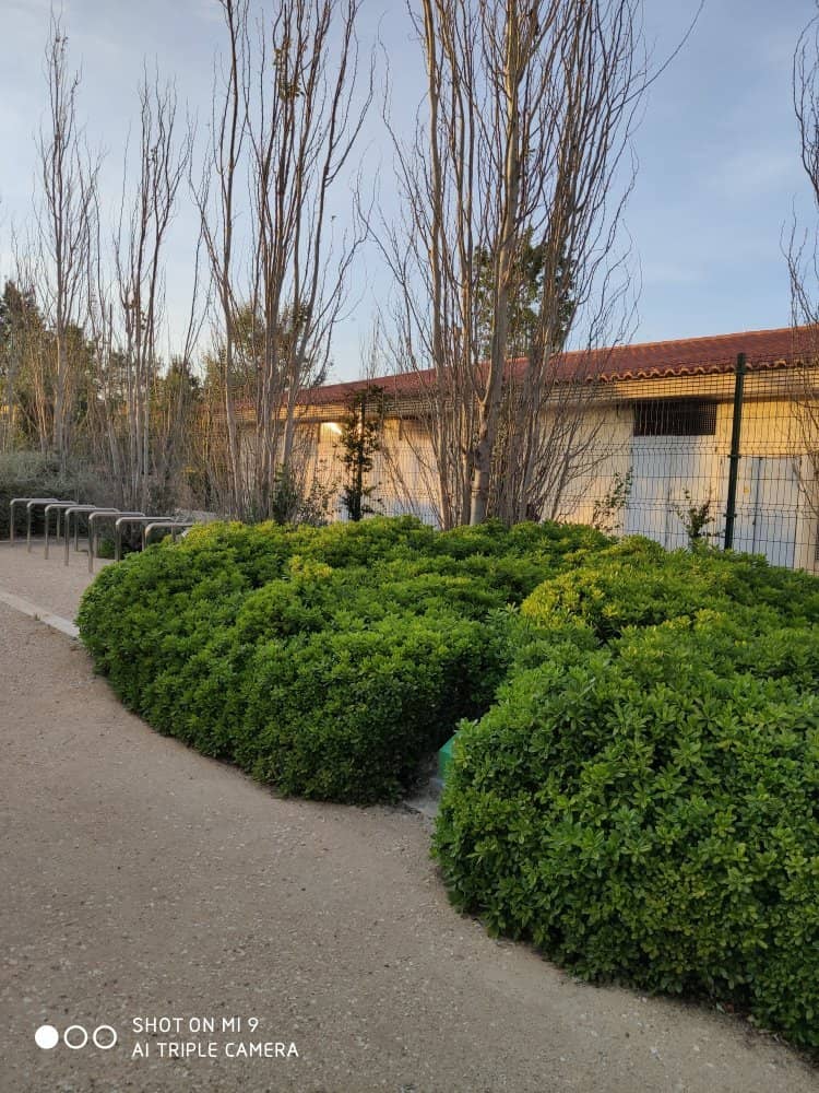 Lush Greenery and Walking Trails
