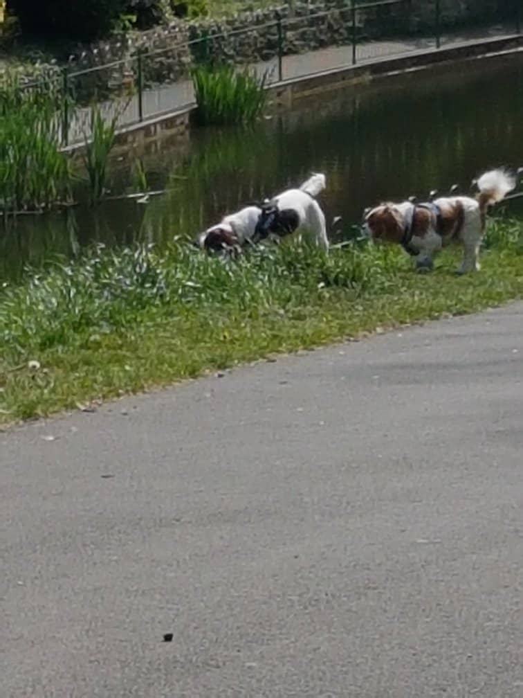 Whimsical Sculptures & Fairy Doors