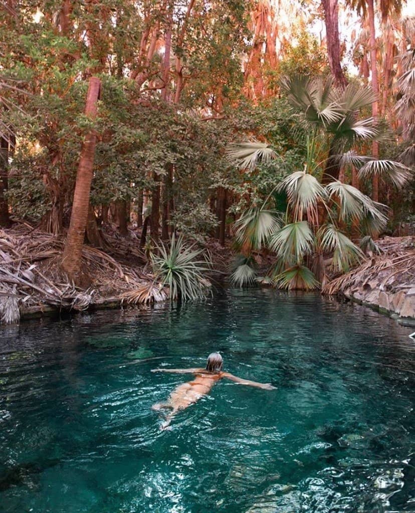 Elsey National Park Scenery