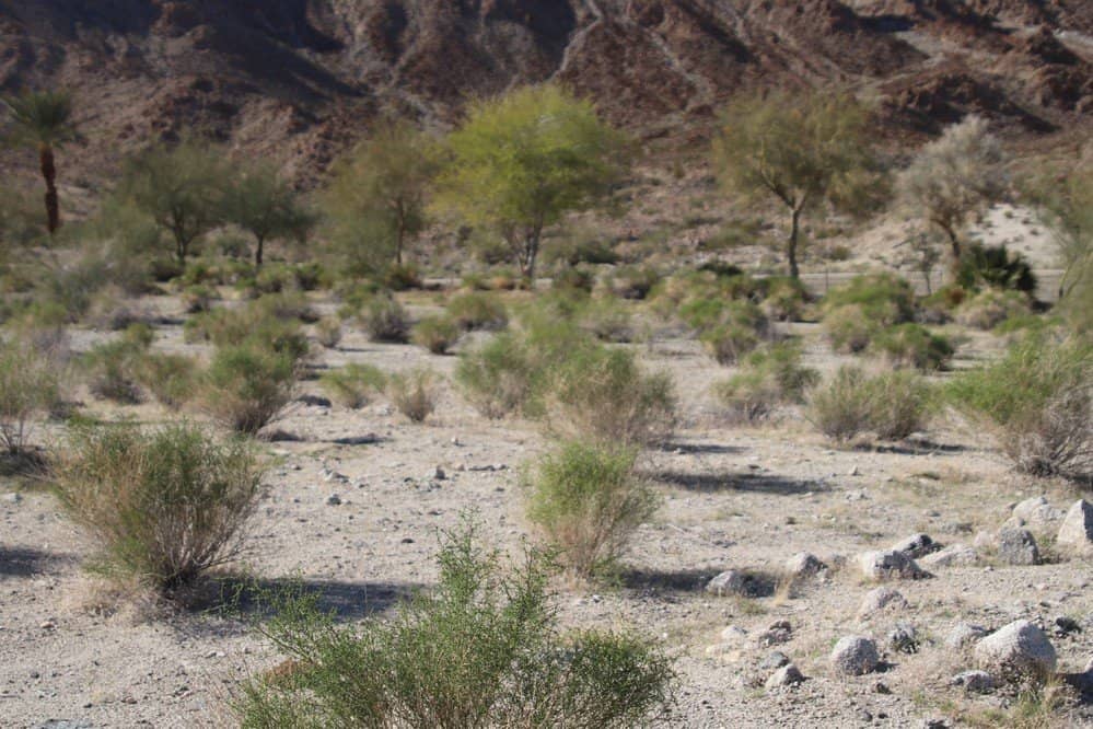 Extensive Trail Network