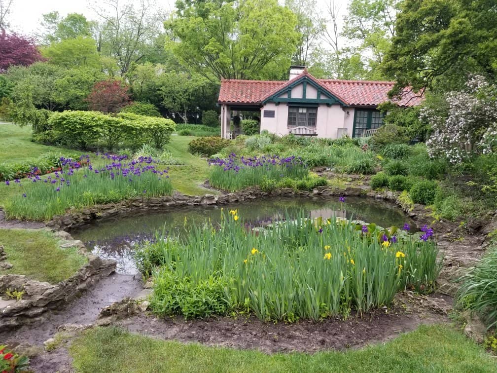 Peaceful Pond & Wildlife