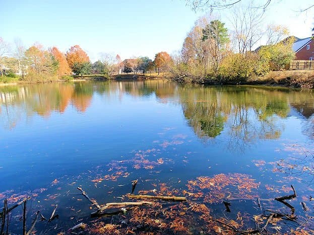 lake