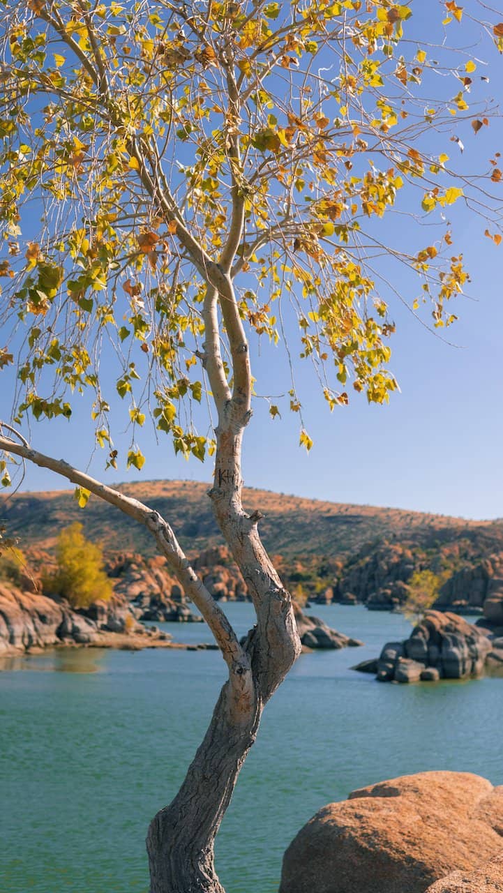 Kayaking & Paddleboarding
