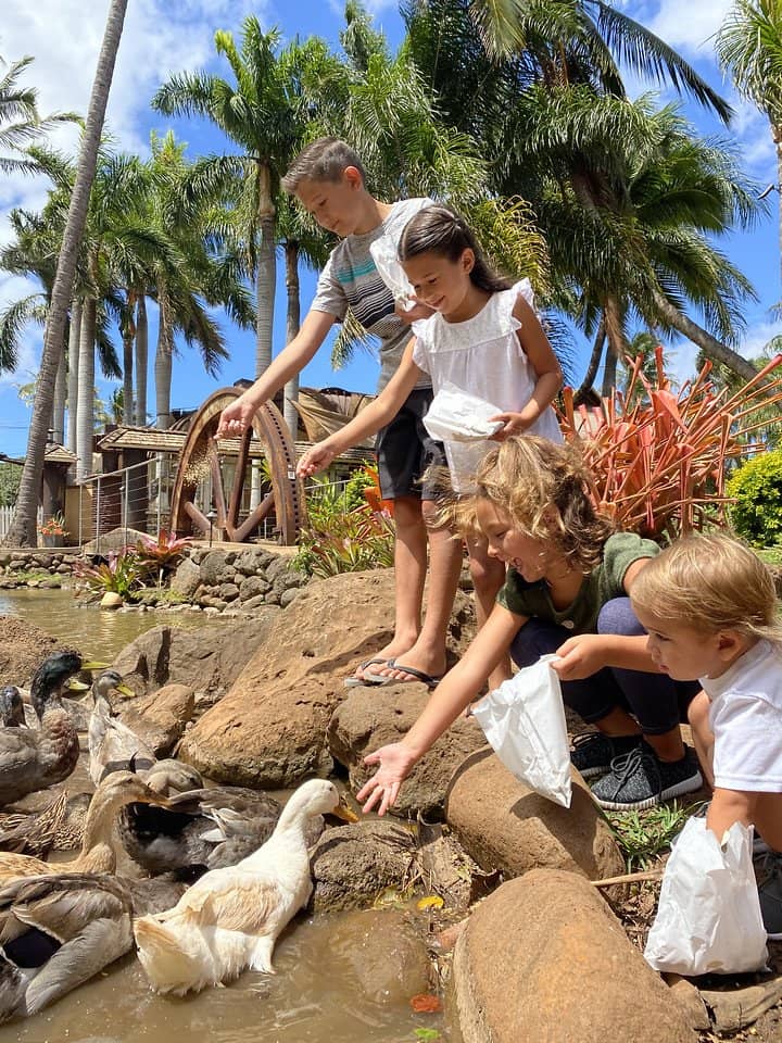 Kumu Farms Country Market