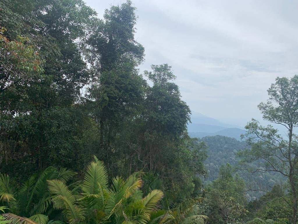 Challenging Staircase Route