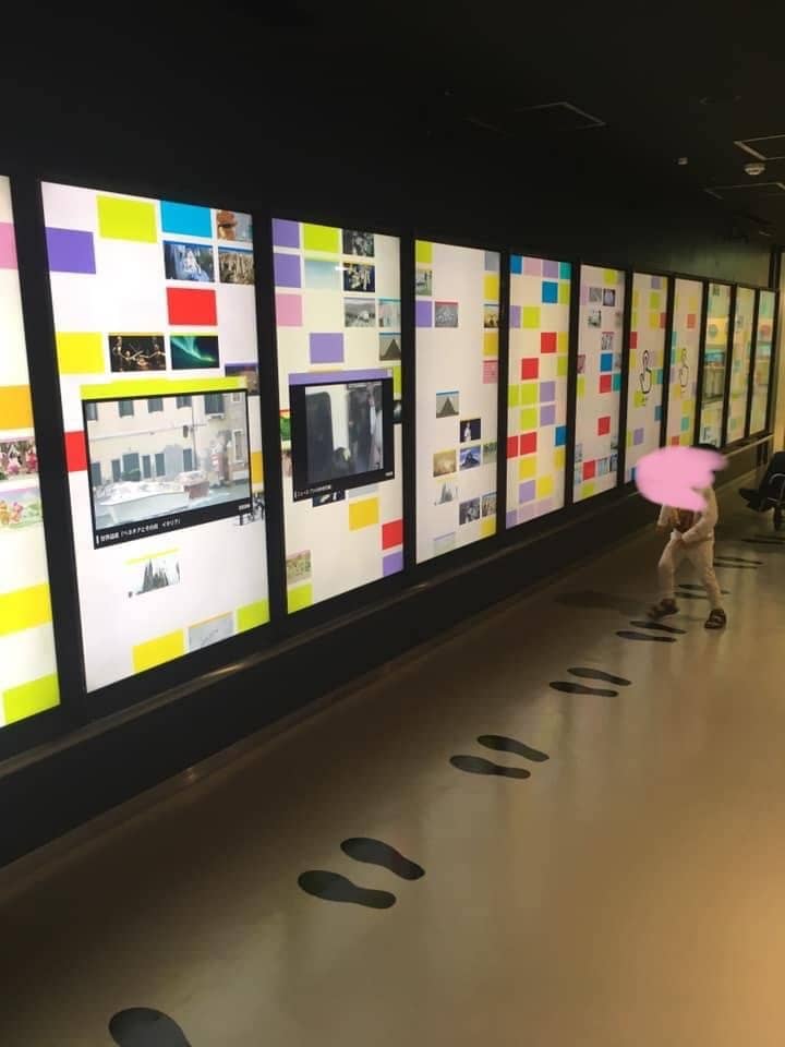 Diverse Concerts and Performances