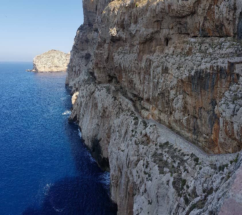 Vertical photo