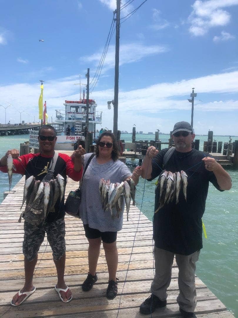 Bay Fishing Charters