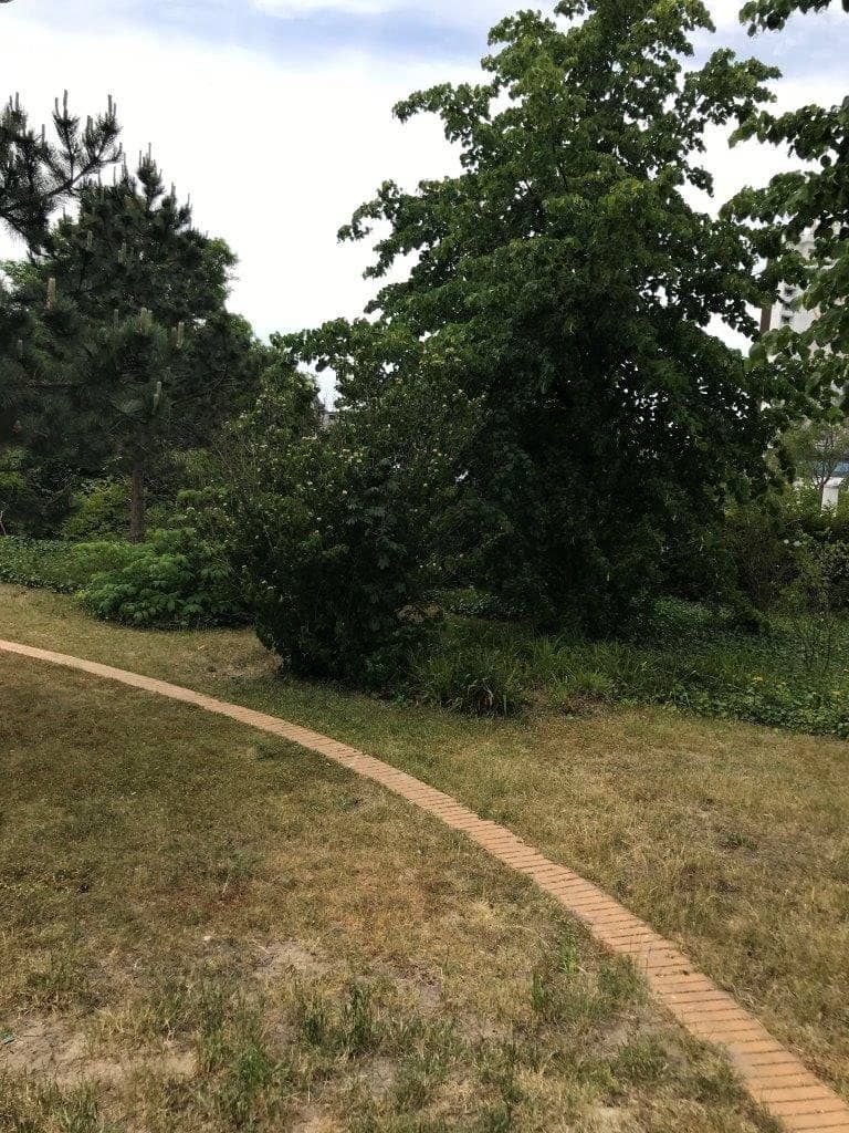 Lush Green Spaces