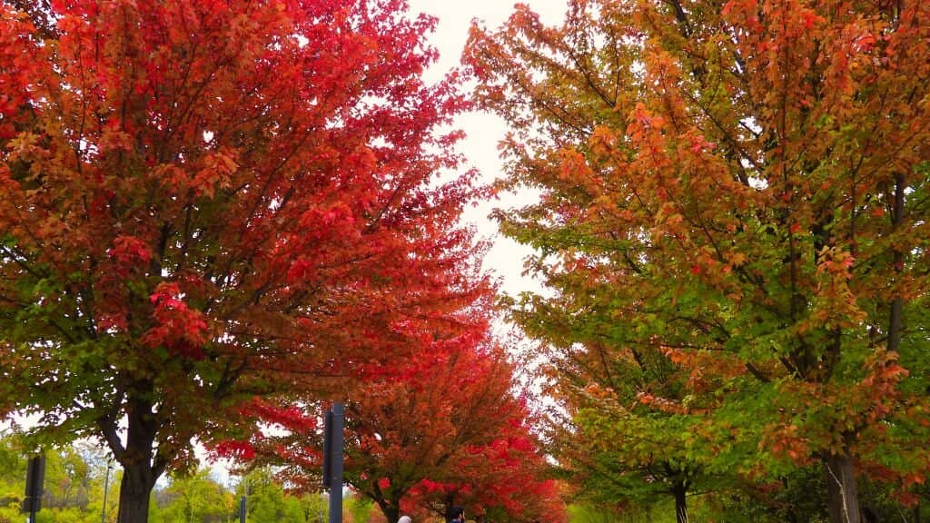 Vertical photo
