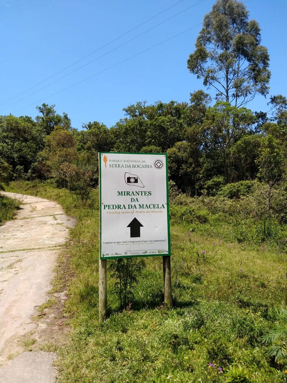 Untouched Atlantic Forest