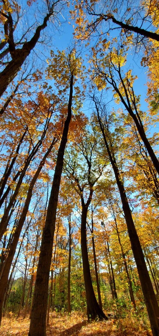 Eramosa Karst Conservation Area