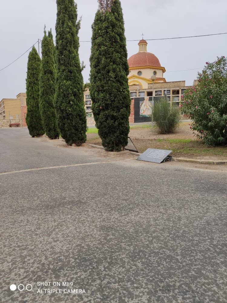 Argentine Referee's Niche