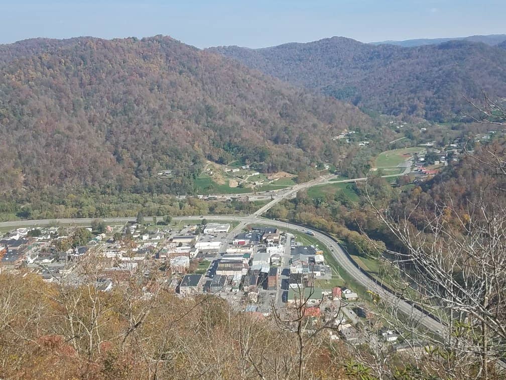 Blooming Rhododendron & Laurel