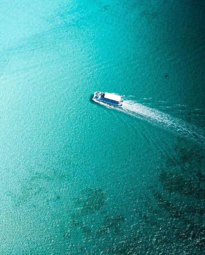 Island Picnic & Grills