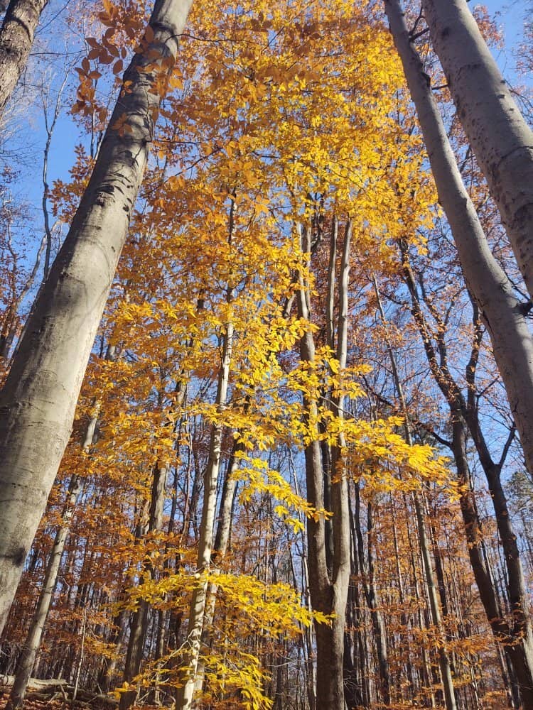 Vertical photo