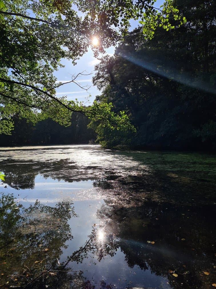 Baggeridge Country Park