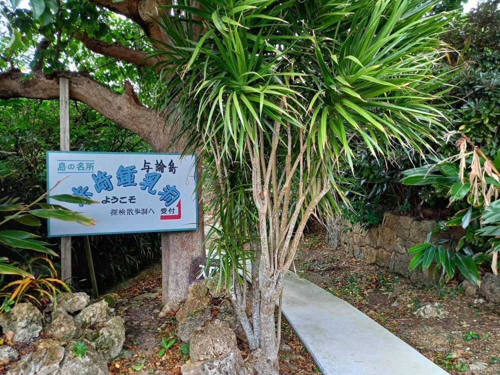 Island Goat Encounters