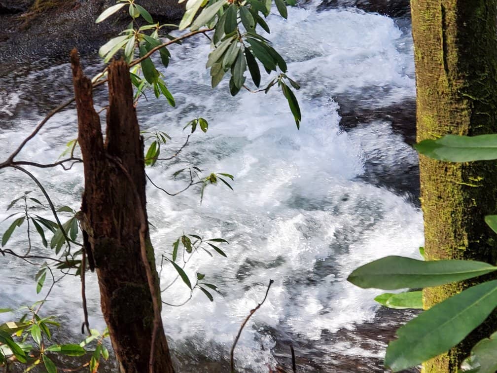 Cascading Waterfalls & Creek