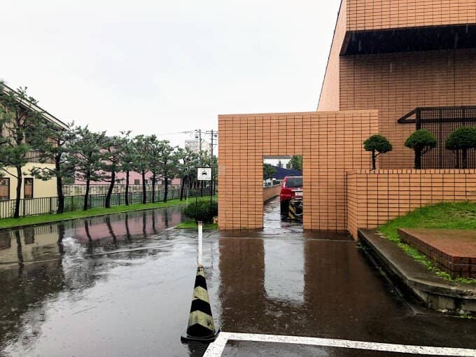 Regional Artist Showcase