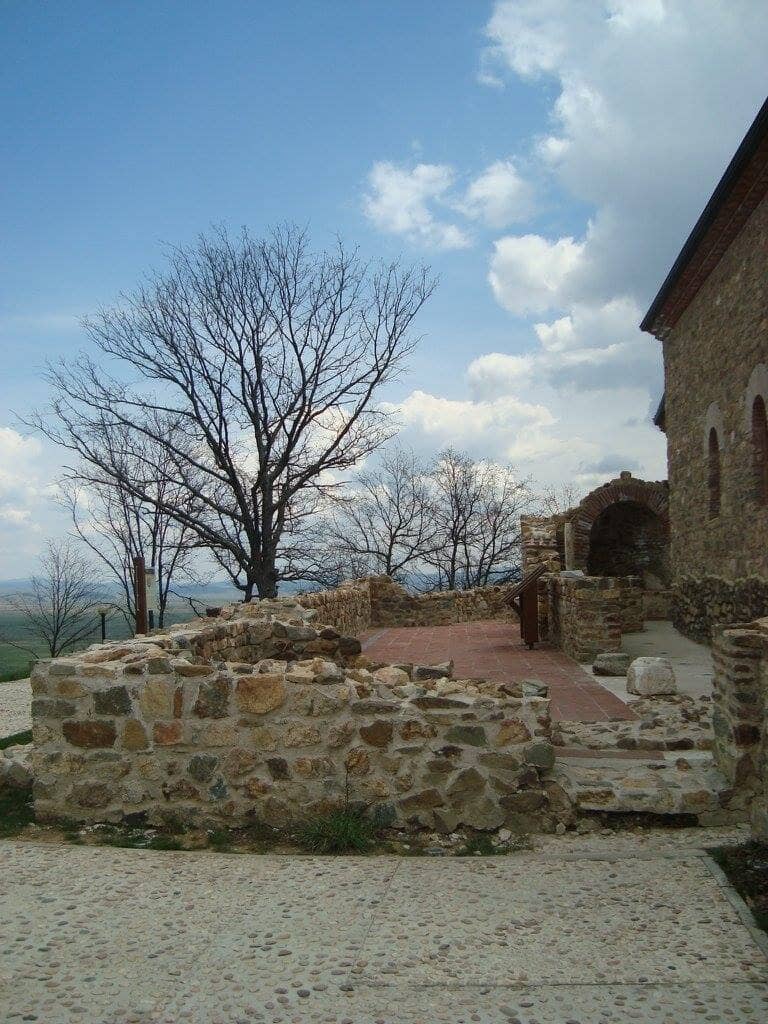 Vertical photo
