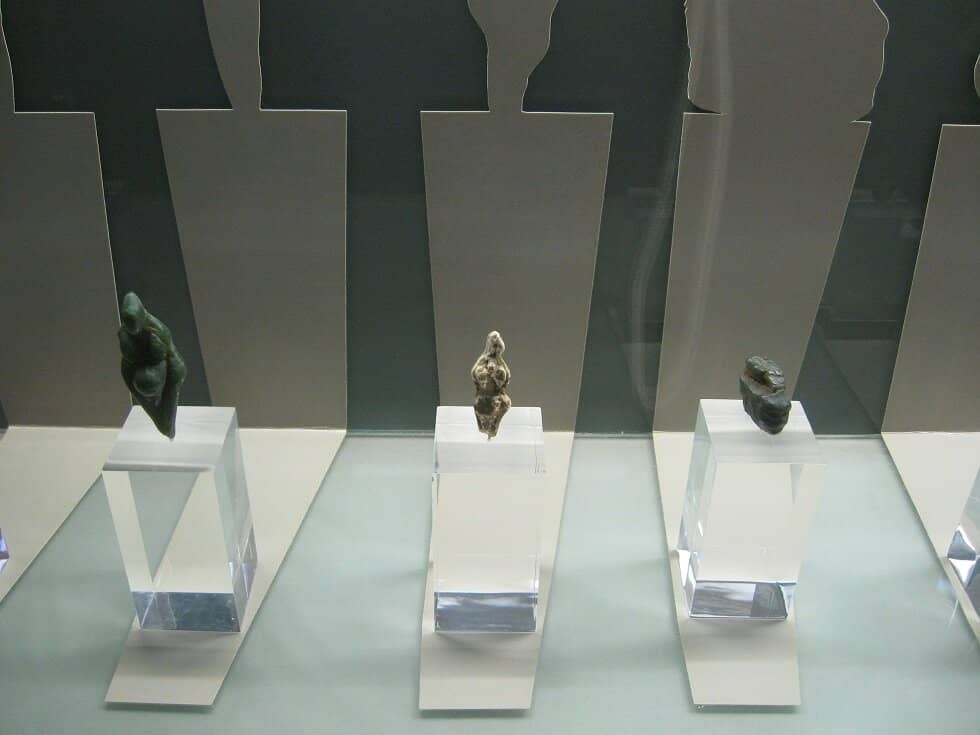 Hominid Skull Progression