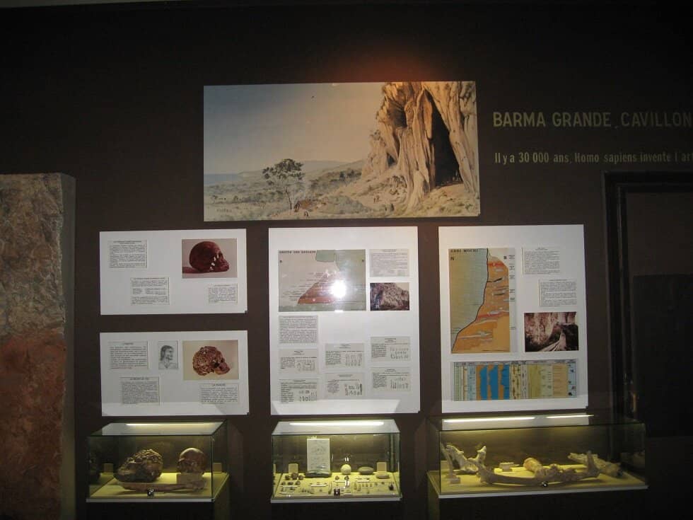 Local Prehistoric Life