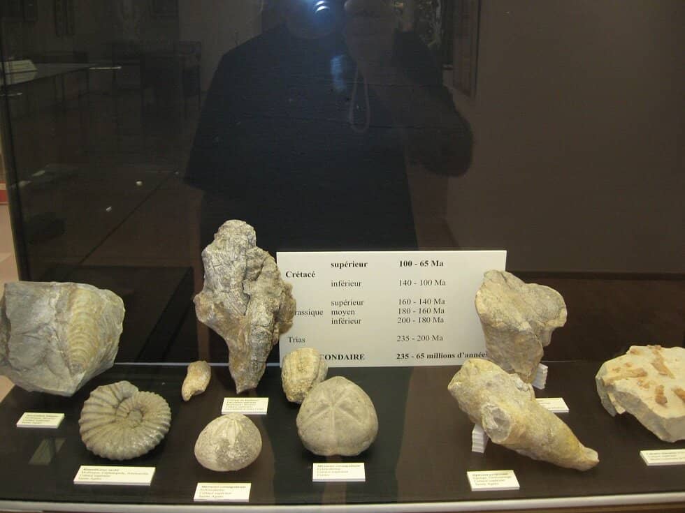 Egyptian and Maritime Displays