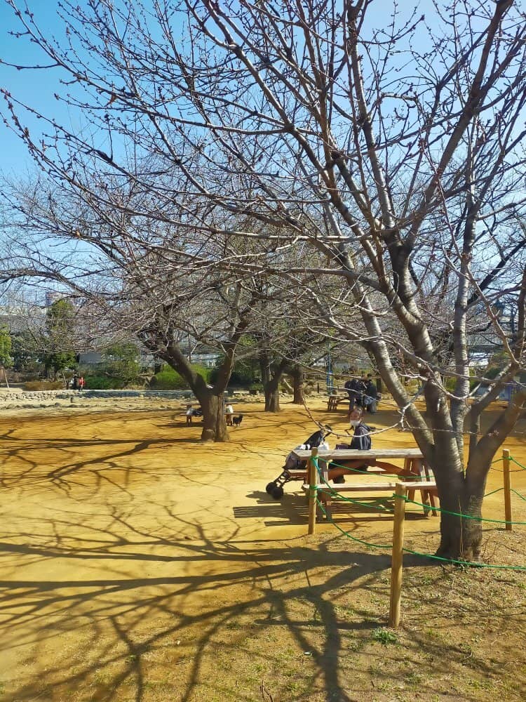 Playgrounds & Sports Courts