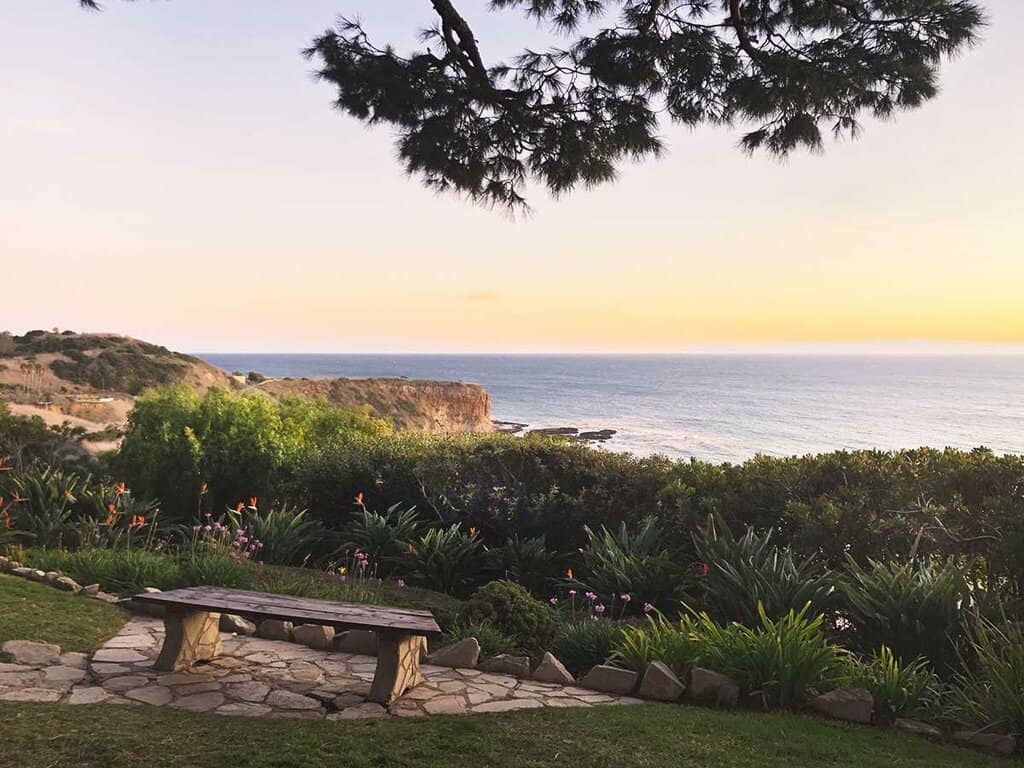 Stunning Redwood Grove Setting