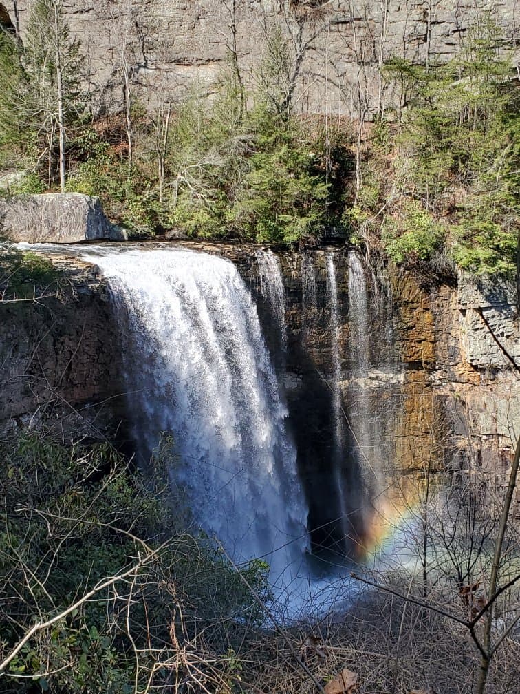 Lula Lake Land Trust