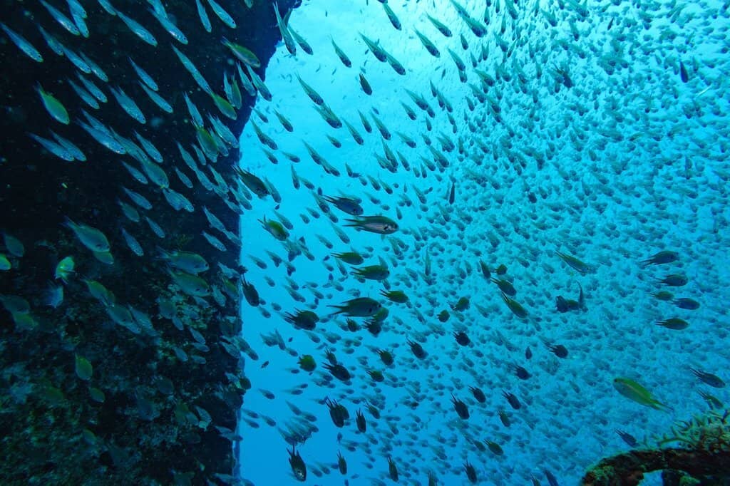 Highlights