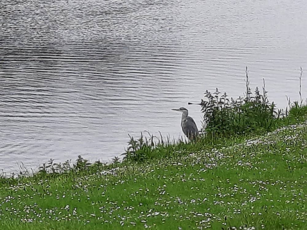 Saint Hubertus Chapel