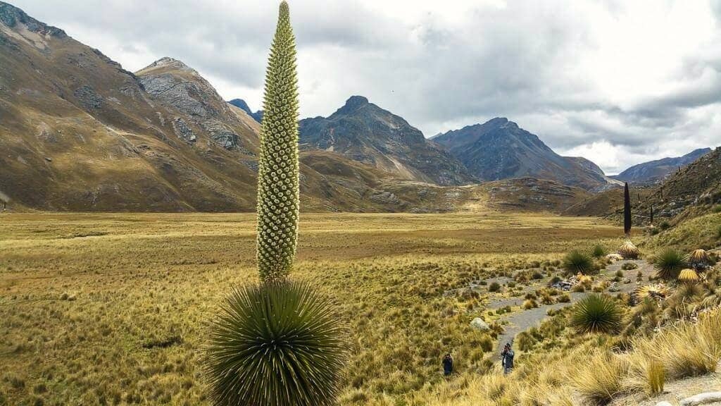 Nevado Humantay View