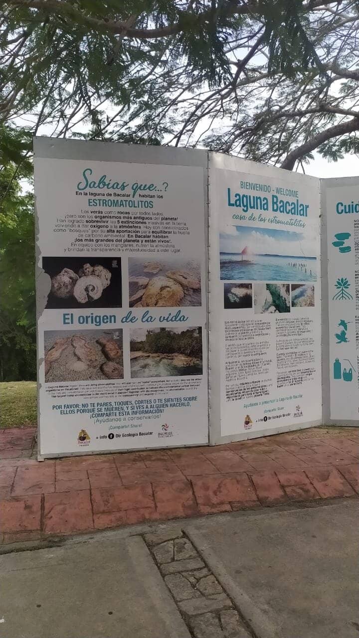 Crystal Clear Waters