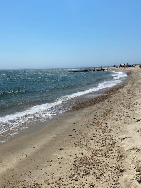 Views of Martha's Vineyard