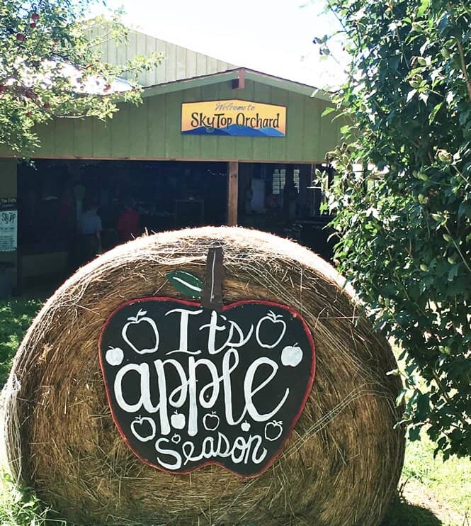 Scenic Mountain Views