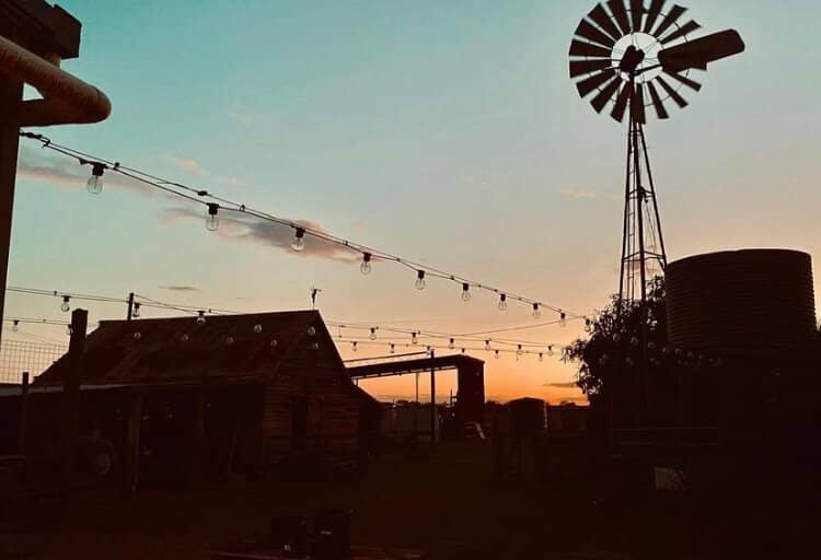 Artisan Ice Cream Flavors