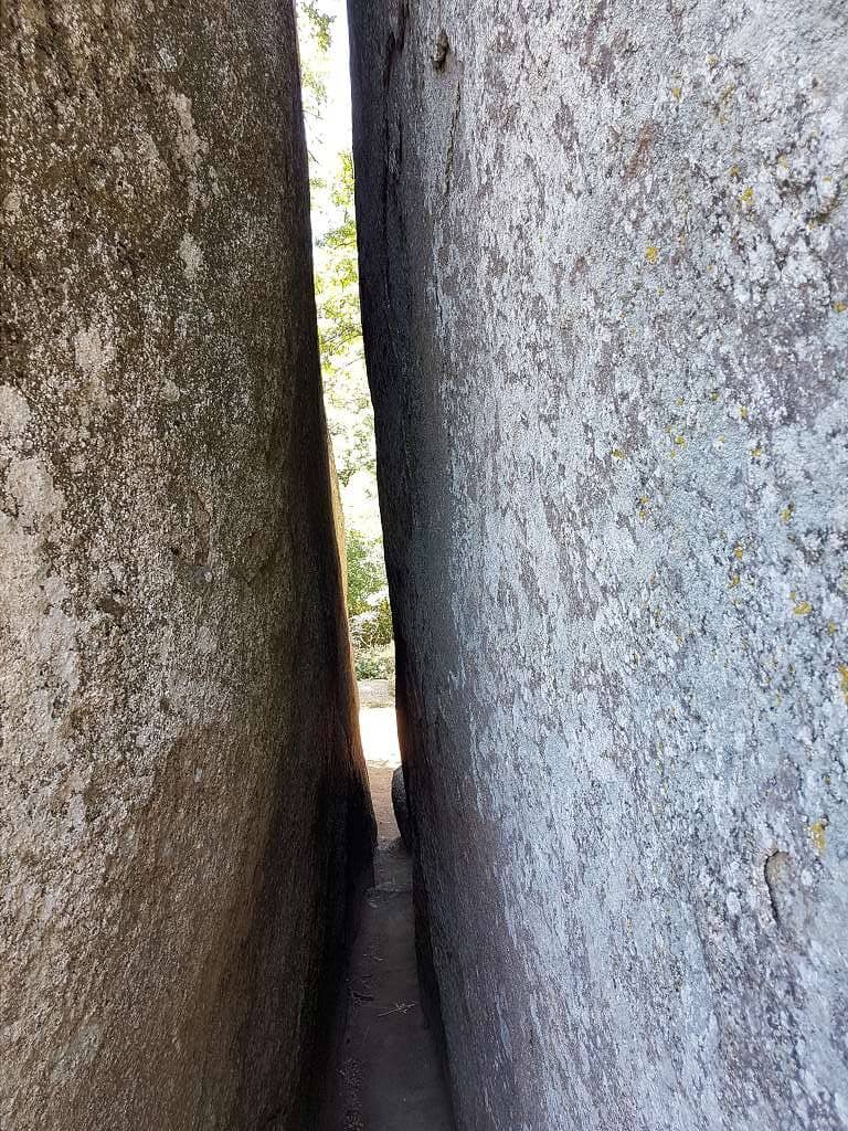 Vertical photo