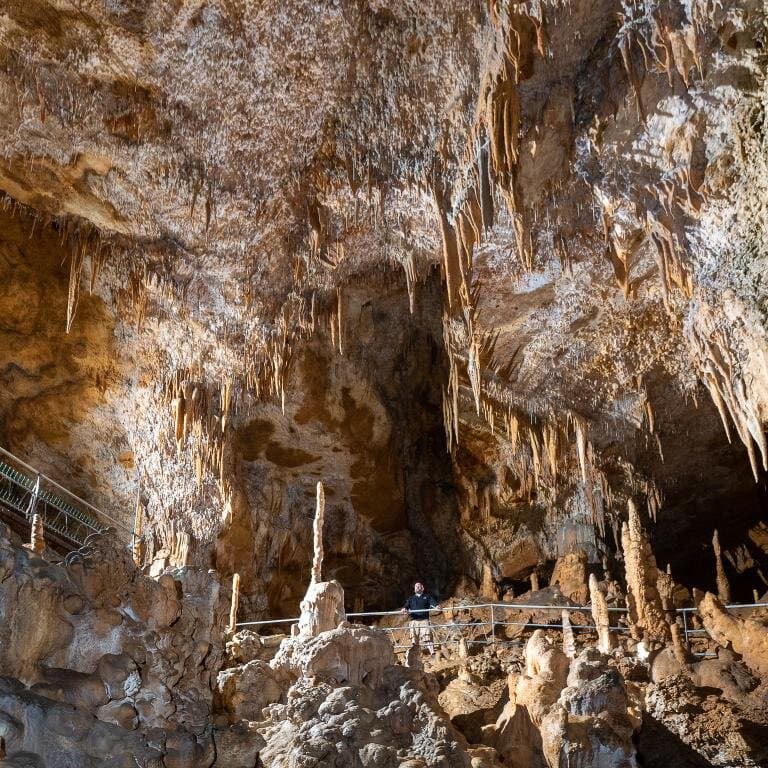 Salle du grand balcon.
Photo par Jean-François Fabriol